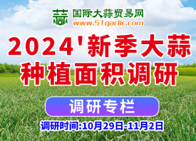 2024’大蒜種植面積有多大？ ()