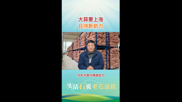 大蒜要上漲、且待新助力 ()