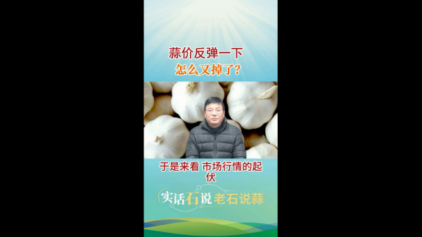 蒜價反彈一下怎么又掉了？ ()