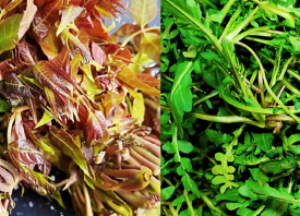 杭州：蔬菜批發(fā)、零售價格下跌 ()